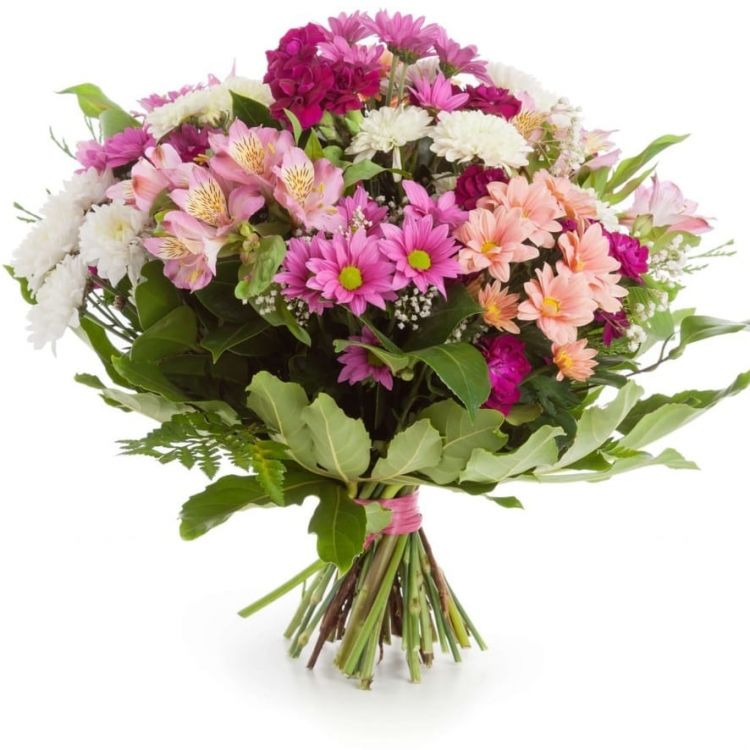 Милый от 4 450 руб.